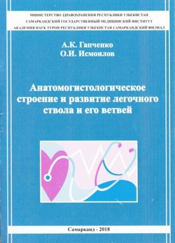 Анатомогистологическое строение и развитие легочного ствола и его ветвей 