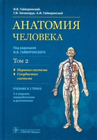 Анатомия человека. Том 2 