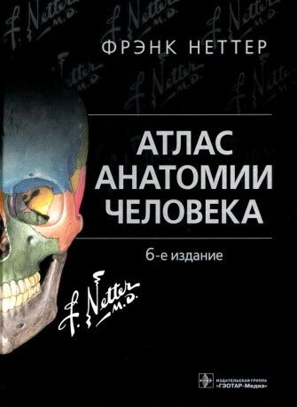 Атлас анатомии человека 
