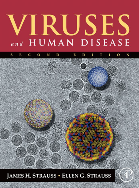 Viruses and Human  Disease