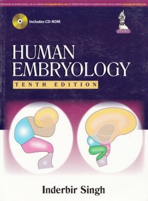 Human embryology 