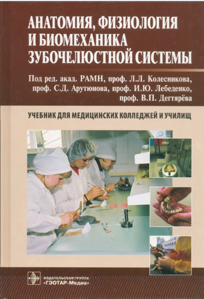 Анатомия физиология и биомеханика зубочелюстной системы