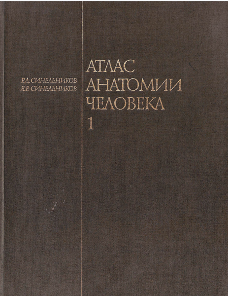 Атлас анатомии человека том 1