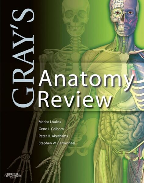 GRAY’S Anatomy Review