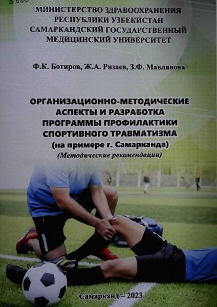 Организационно-методические аспекты и разработка программы профилактики спортивного травматизма