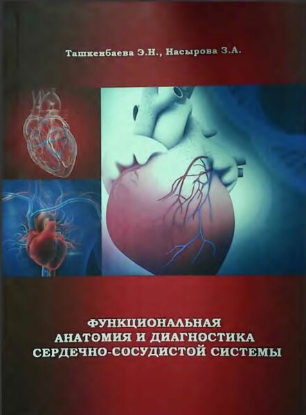 Функциональная анатомия и диагностика сердечно-сосудистой системы