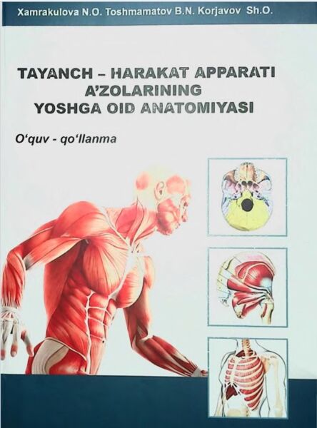 Tayanch-harakat apparati a’zolarining yoshga oid anatomiyasi