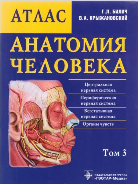Атлас анатомия человека