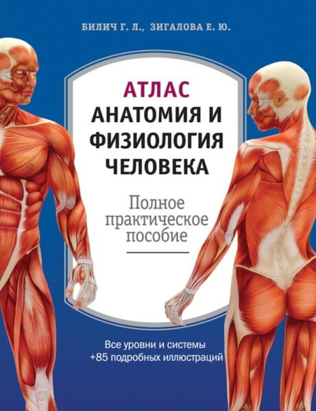 Атлас анатомия и физиология человека