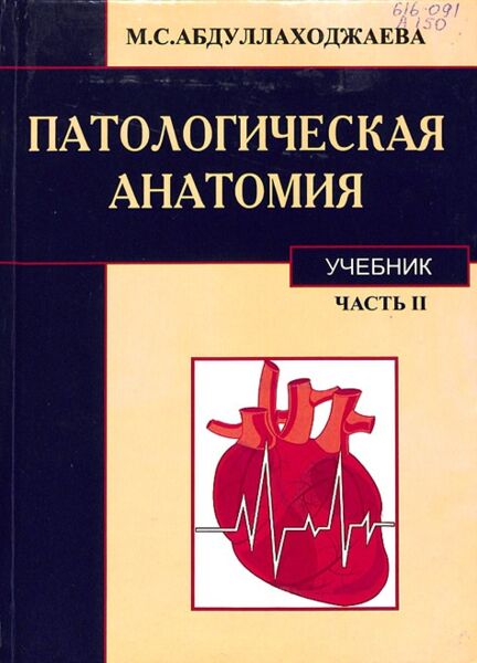 Патологическая анатомия часть II