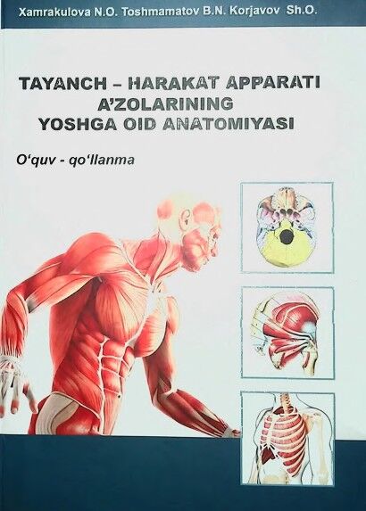 Tayanch-harakat apparati a’zolarining yoshga oid anatomiyasi