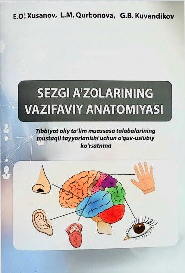 Sezgi a'zolarining vazifaviy anatomiyasi