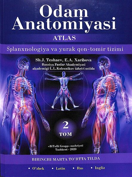 Odam anatomiyasi. 2-tom