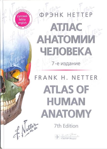 Атлас анатомии человека 7-е издание