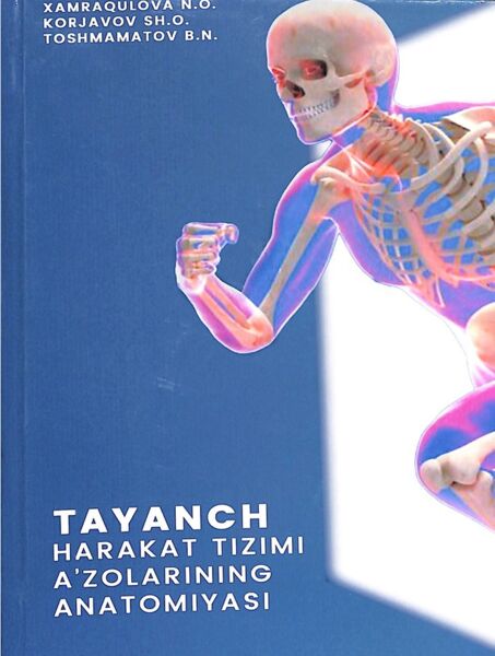Tayanch harakat tizimi a'zolarining anatomiyasi