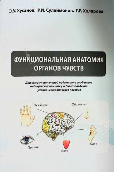 Функциональная анатомия органов чувств