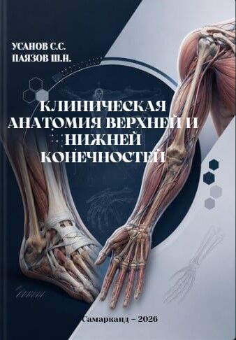 Клиническая анатомия верхней и нижней конечностей