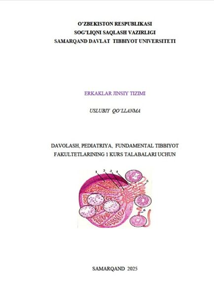 Erkaklar jinsiy tizimi