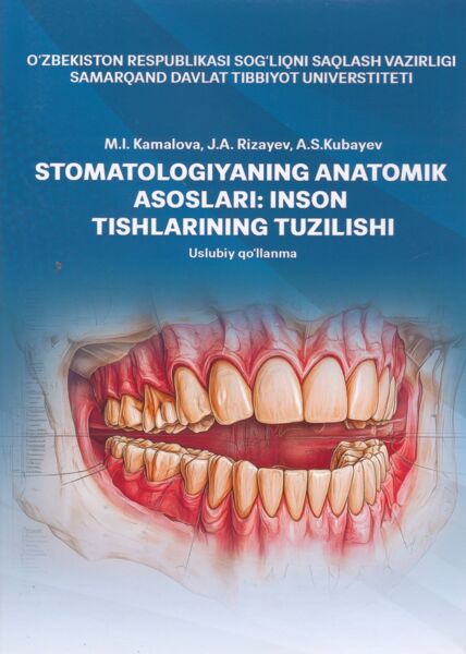 Stomatologiyaning anatomik asoslari: inson tishlarining tuzilishi