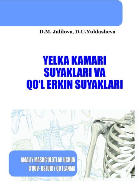Yelka kamari suyaklari va qo‘l erkin suyaklari
