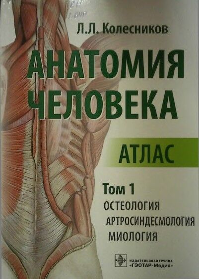 Анатомия человека: Aтлас. Том 1